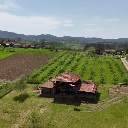 Milosev Holiday home *